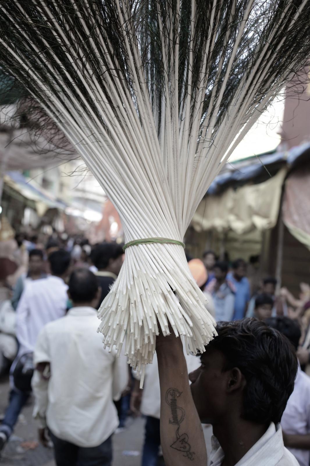 peacock feather